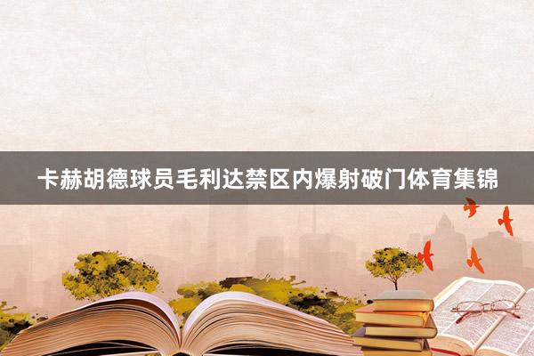 卡赫胡德球员毛利达禁区内爆射破门体育集锦