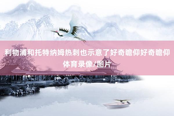利物浦和托特纳姆热刺也示意了好奇瞻仰好奇瞻仰体育录像/图片