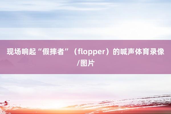 现场响起“假摔者”（flopper）的喊声体育录像/图片