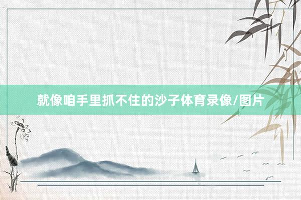 就像咱手里抓不住的沙子体育录像/图片