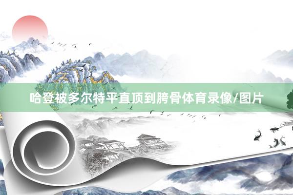 哈登被多尔特平直顶到胯骨体育录像/图片