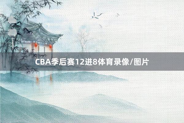 CBA季后赛12进8体育录像/图片