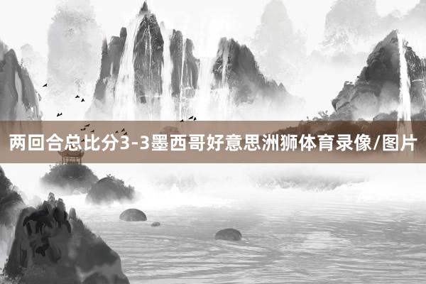 两回合总比分3-3墨西哥好意思洲狮体育录像/图片