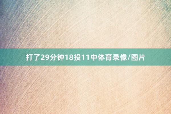 打了29分钟18投11中体育录像/图片