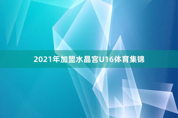 2021年加盟水晶宫U16体育集锦