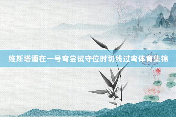 维斯塔潘在一号弯尝试守位时切线过弯体育集锦