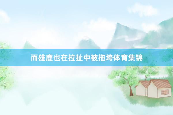 而雄鹿也在拉扯中被拖垮体育集锦