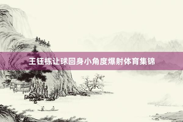 王钰栋让球回身小角度爆射体育集锦