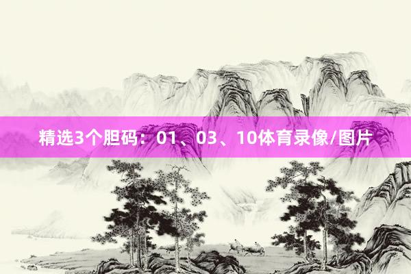 精选3个胆码:01、03、10体育录像/图片