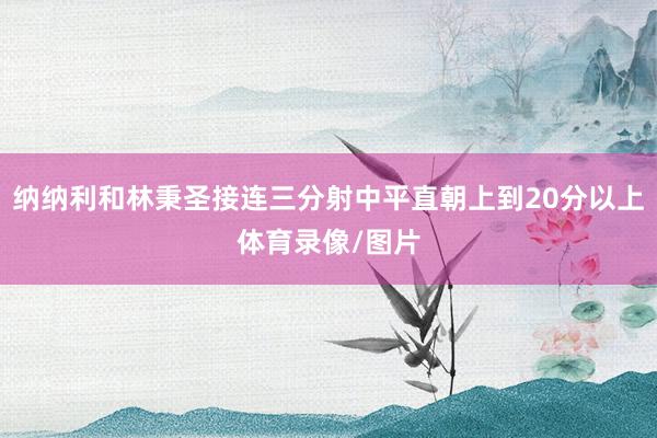 纳纳利和林秉圣接连三分射中平直朝上到20分以上体育录像/图片