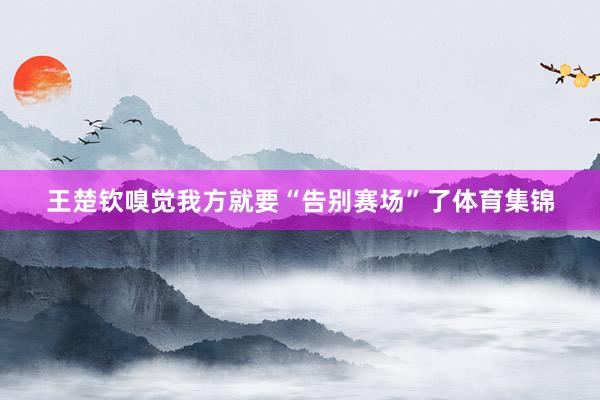 王楚钦嗅觉我方就要“告别赛场”了体育集锦