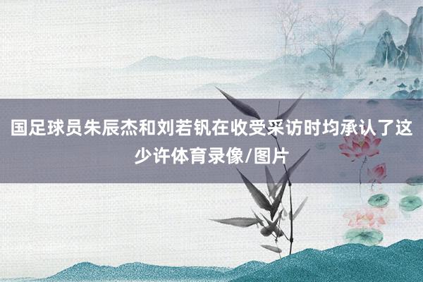 国足球员朱辰杰和刘若钒在收受采访时均承认了这少许体育录像/图片