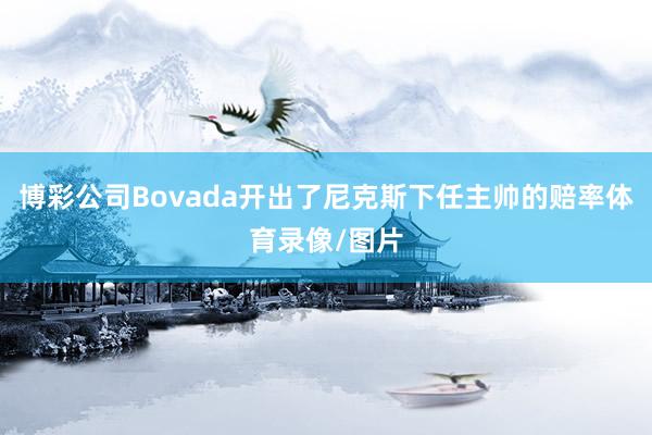 博彩公司Bovada开出了尼克斯下任主帅的赔率体育录像/图片