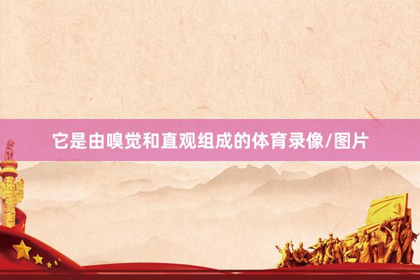 它是由嗅觉和直观组成的体育录像/图片