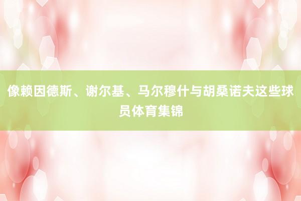 像赖因德斯、谢尔基、马尔穆什与胡桑诺夫这些球员体育集锦