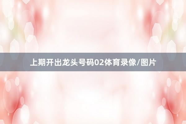 上期开出龙头号码02体育录像/图片