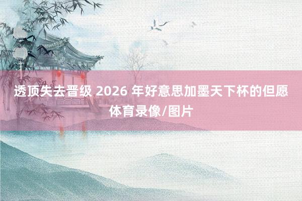 透顶失去晋级 2026 年好意思加墨天下杯的但愿体育录像/图片