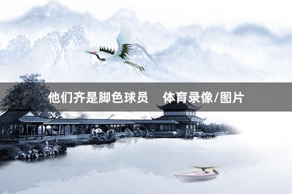 他们齐是脚色球员    体育录像/图片