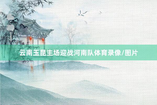 云南玉昆主场迎战河南队体育录像/图片