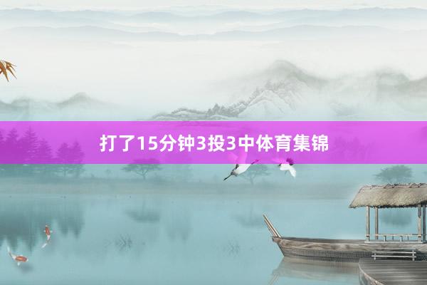 打了15分钟3投3中体育集锦