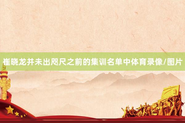 崔晓龙并未出咫尺之前的集训名单中体育录像/图片