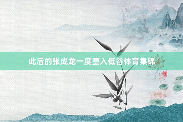 此后的张成龙一度堕入低谷体育集锦