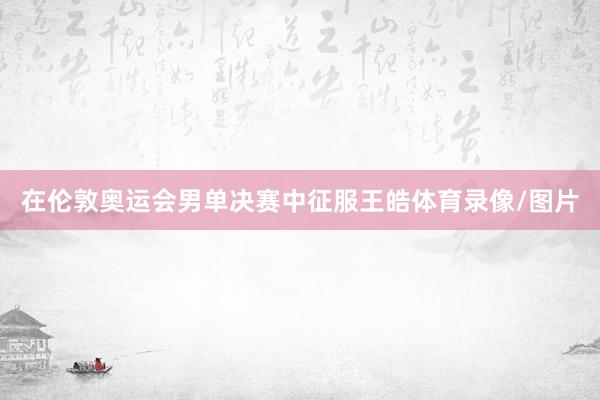 在伦敦奥运会男单决赛中征服王皓体育录像/图片