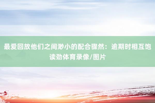 最爱回放他们之间渺小的配合骤然：逾期时相互饱读劲体育录像/图片