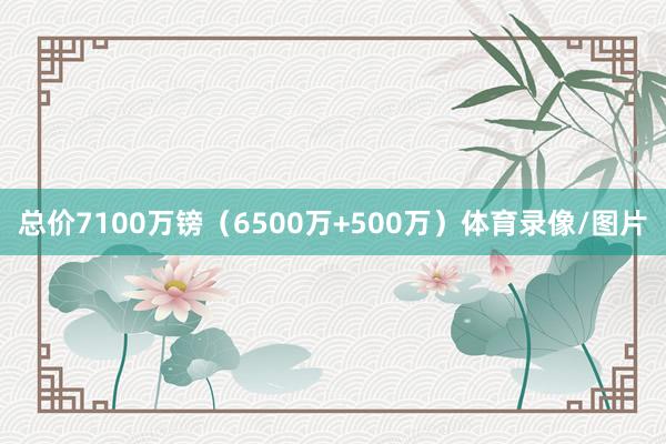 总价7100万镑（6500万+500万）体育录像/图片