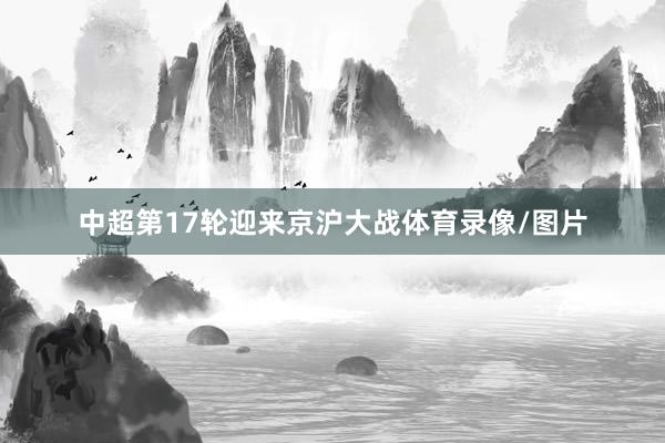 中超第17轮迎来京沪大战体育录像/图片