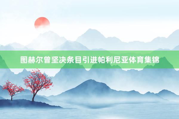 图赫尔曾坚决条目引进帕利尼亚体育集锦