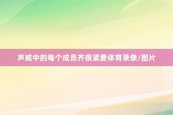声威中的每个成员齐很紧要体育录像/图片