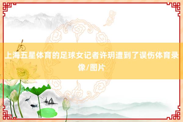 上海五星体育的足球女记者许玥遭到了误伤体育录像/图片