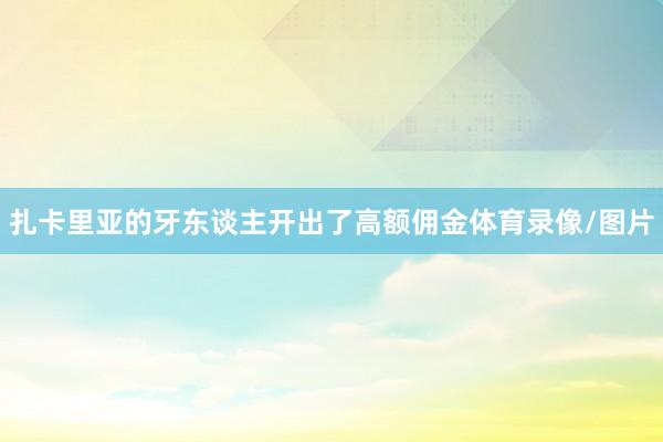 扎卡里亚的牙东谈主开出了高额佣金体育录像/图片