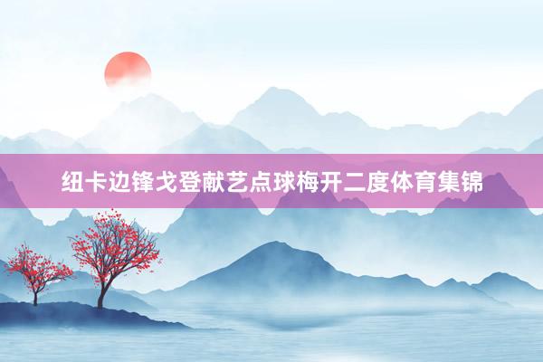 纽卡边锋戈登献艺点球梅开二度体育集锦