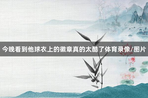 今晚看到他球衣上的徽章真的太酷了体育录像/图片