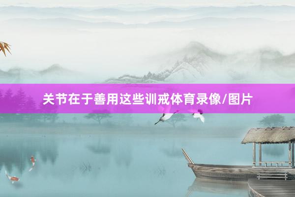 关节在于善用这些训戒体育录像/图片