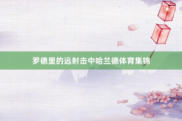 罗德里的远射击中哈兰德体育集锦