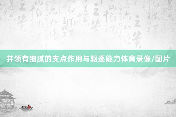 并领有细腻的支点作用与驱逐能力体育录像/图片