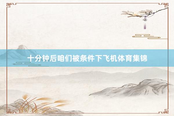 十分钟后咱们被条件下飞机体育集锦