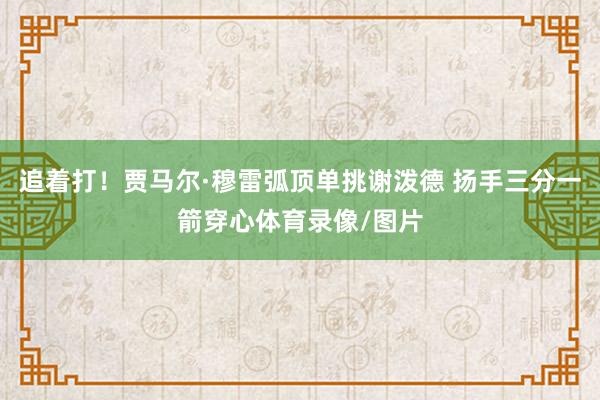 追着打！贾马尔·穆雷弧顶单挑谢泼德 扬手三分一箭穿心体育录像/图片