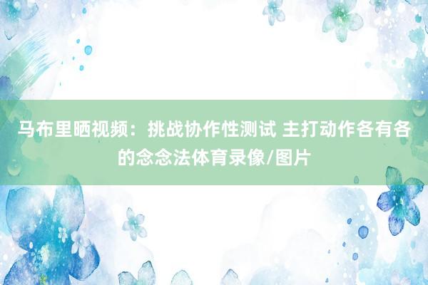 马布里晒视频：挑战协作性测试 主打动作各有各的念念法体育录像/图片