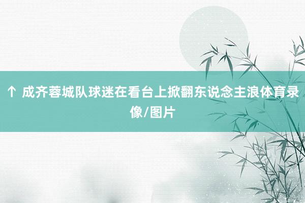 ↑ 成齐蓉城队球迷在看台上掀翻东说念主浪体育录像/图片