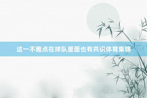 这一不雅点在球队里面也有共识体育集锦