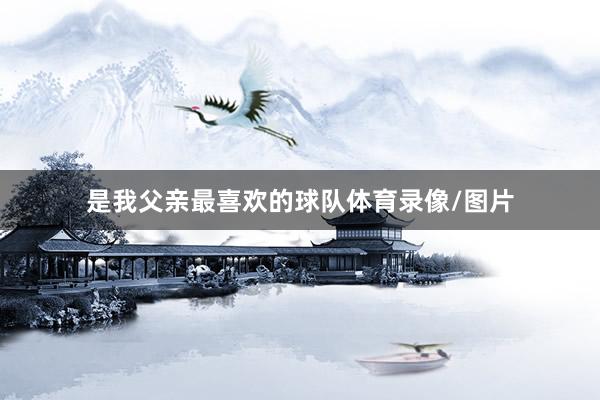 是我父亲最喜欢的球队体育录像/图片