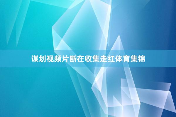 谋划视频片断在收集走红体育集锦