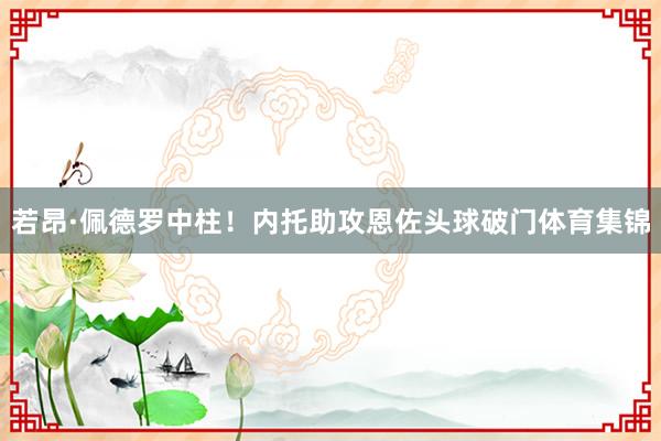 若昂·佩德罗中柱！内托助攻恩佐头球破门体育集锦
