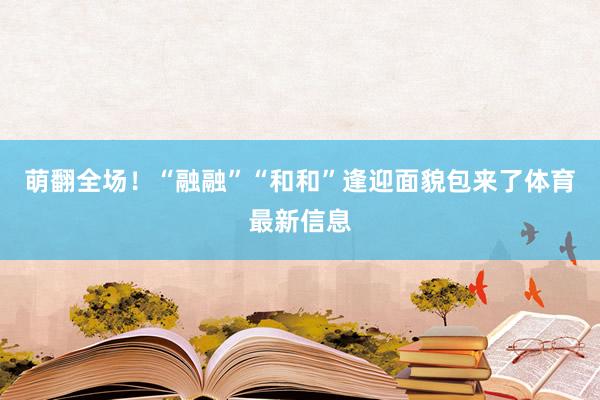 萌翻全场!“融融”“和和”逢迎面貌包来了体育最新信息