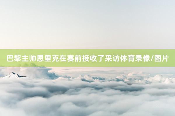 巴黎主帅恩里克在赛前接收了采访体育录像/图片