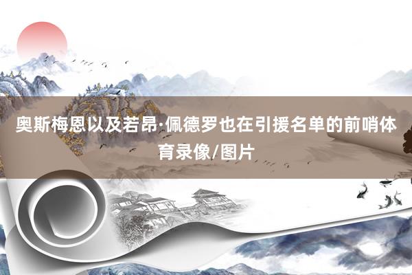奥斯梅恩以及若昂·佩德罗也在引援名单的前哨体育录像/图片